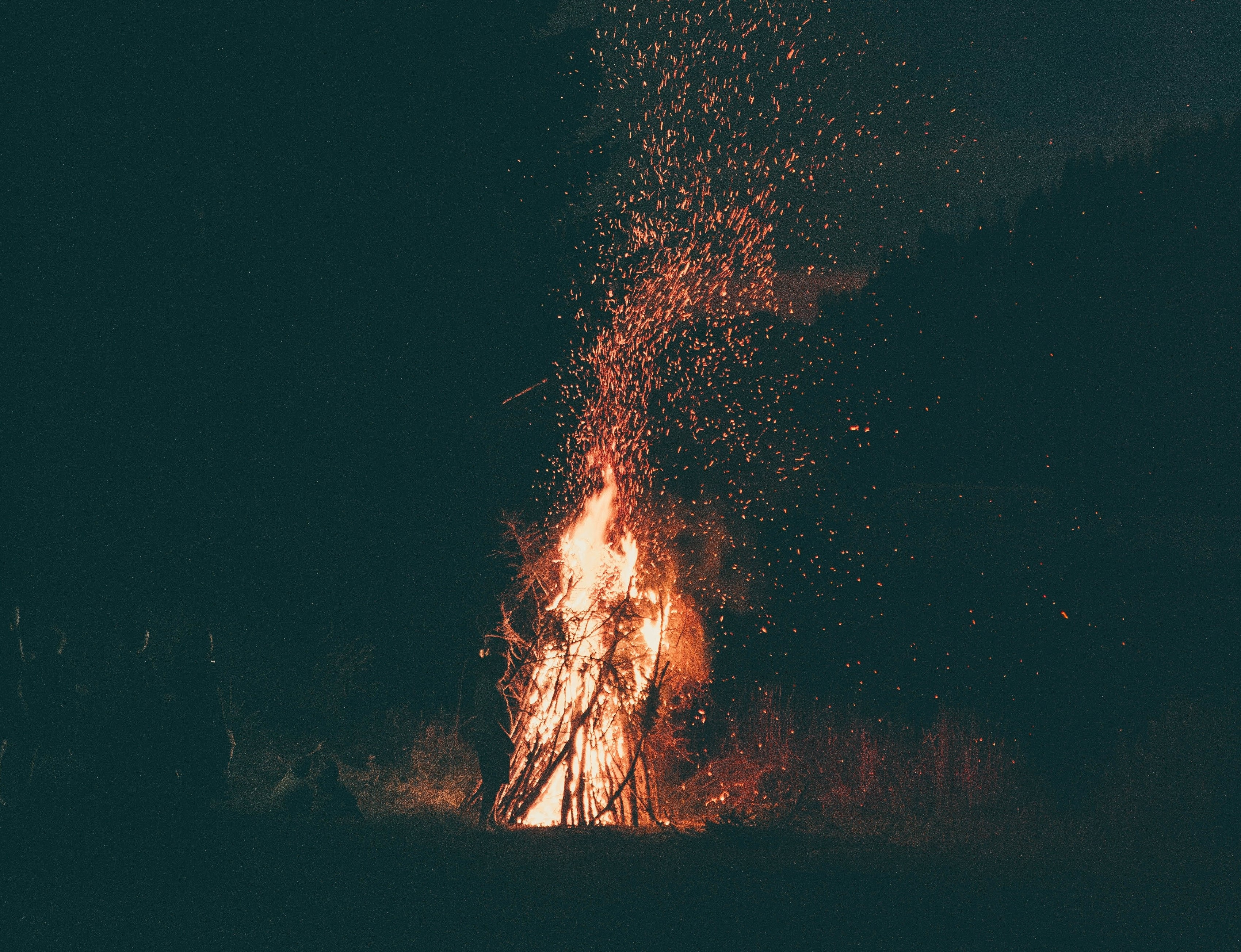 foc