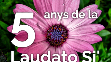 Flor Laudato Si'