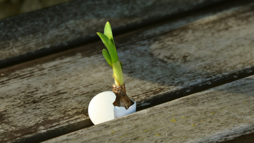 Pasqua difícil, però Pasqua més que mai!