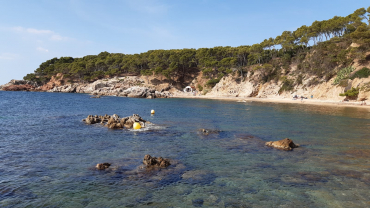 Comença l’estiu