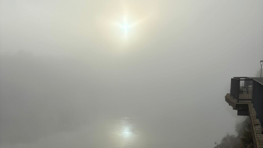 Temps Ordinari - Cinquè diumenge