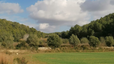 Pregària al Creador