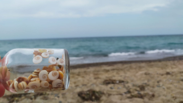 Perspectiva de tot