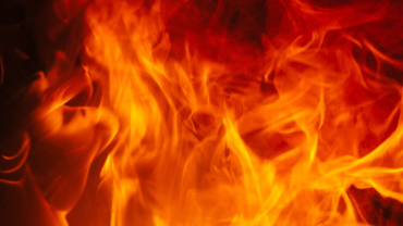 Foc