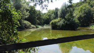 La llum del perdó