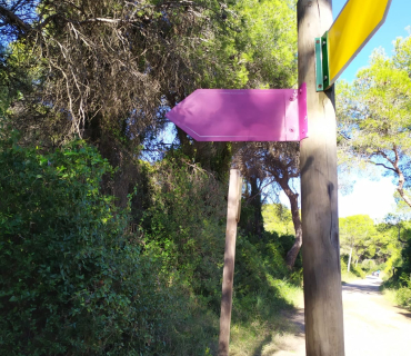 Temps Pasqual - Cinquè diumenge