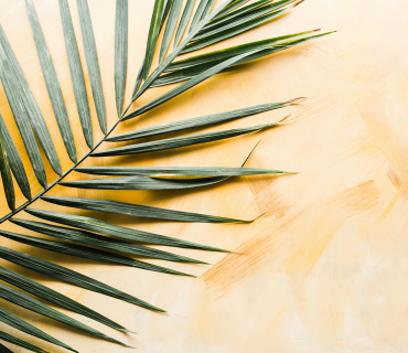 Quaresma - Diumenge de Rams