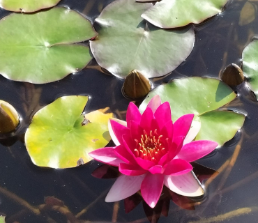 Advent - Primer diumenge