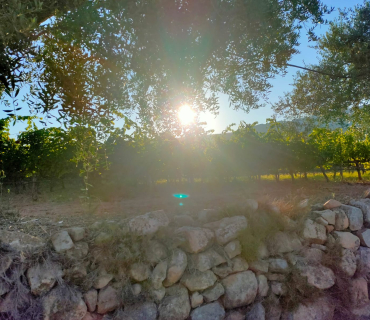 La joia del Ressuscitat