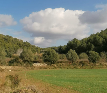 Pregària al Creador